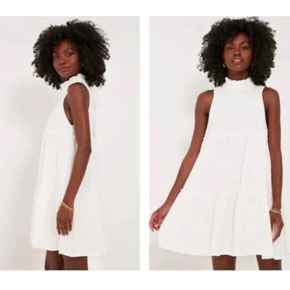 Tuckernuck Pomander Place Morgan Mini Dress - Picture 2 of 6
